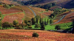 Landscapes Trees France roads fields bing