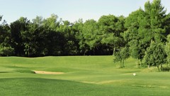 Landscapes Trees Golf Course