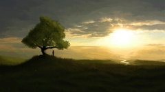 Landscapes Trees grass