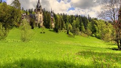 Landscapes Trees grass Castles forests