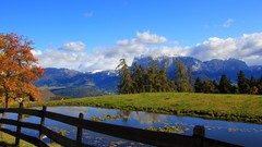 Landscapes Trees grass clouds
