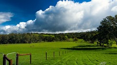 Landscapes Trees grass clouds Green
