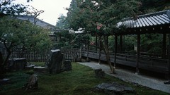 Landscapes Trees grass Garden Tokyo