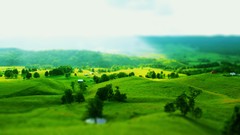 Landscapes Trees grass hills houses forests tilt-shift