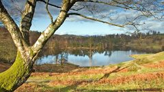 Landscapes Trees grass lakes