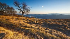 Landscapes Trees grass Mountains