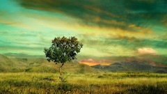 Landscapes Trees grass Mountains clouds cl digital art
