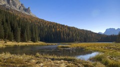 Landscapes Trees grass Mountains forests