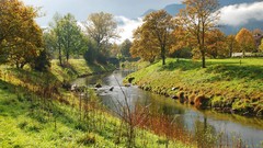 Landscapes Trees grass rivers