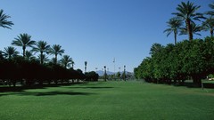 Landscapes Trees grass skyscapes