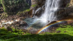 Landscapes Trees grass waterfalls rainbows forests