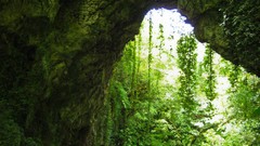 Landscapes Trees Greece Europe forests