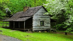 Landscapes Trees Green houses national park Tennessee great 