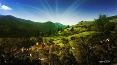 Landscapes Trees Green natural forests