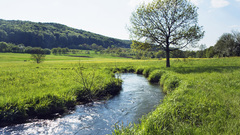 Landscapes Trees hills meadows