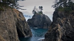 Landscapes Trees Islands