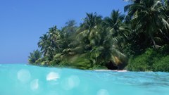 Landscapes Trees Islands Sea