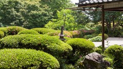 Landscapes Trees Japan Garden Asia bushes