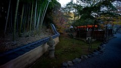 Landscapes Trees Japan Garden forests