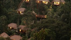 Landscapes Trees jungle houses Villages