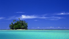 Landscapes Trees lagoon tropical