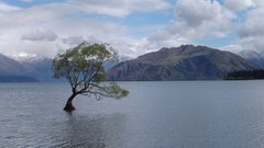 Landscapes Trees lakes