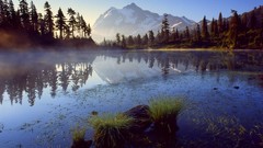 Landscapes Trees lakes