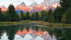 Landscapes Trees lakes