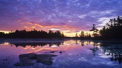 Landscapes Trees lakes