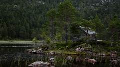 Landscapes Trees lakes cabin forests