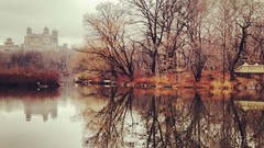 Landscapes Trees lakes Castles