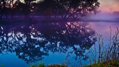 Landscapes Trees lakes reflections