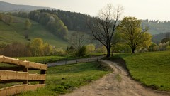 Landscapes Trees meadows paths scenic