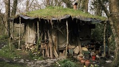 Landscapes Trees moss Europe houses forests