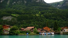 Landscapes Trees Mountains