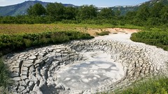 Landscapes Trees Mountains