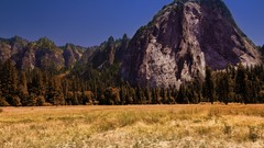 Landscapes Trees Mountains