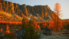 Landscapes Trees Mountains