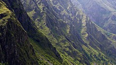 Landscapes Trees Mountains