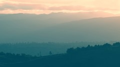 Landscapes Trees Mountains