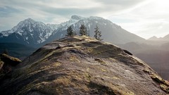 Landscapes Trees Mountains