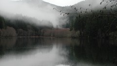 Landscapes Trees Mountains branches lakes mist