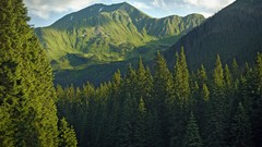 Landscapes Trees Mountains clouds Poland Europe forests 