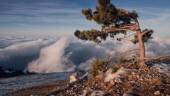 Landscapes Trees Mountains clouds skies