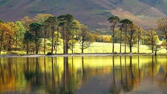Landscapes Trees Mountains England lakes reflections