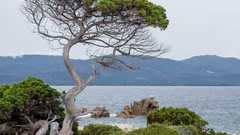 Landscapes Trees Mountains Europe lakes