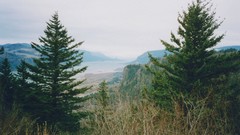 Landscapes Trees Mountains forests