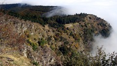 Landscapes Trees Mountains France Europe