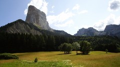 Landscapes Trees Mountains France Europe