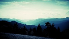 Landscapes Trees Mountains hills forests